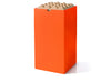 Neon Orange / Large